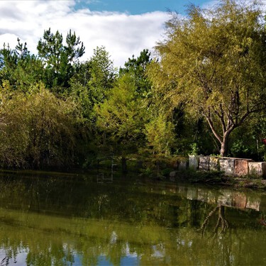 Desayuna entre árboles y junto a un lago: un rincón escondido en Querétaro a solo 30 minutos del centro