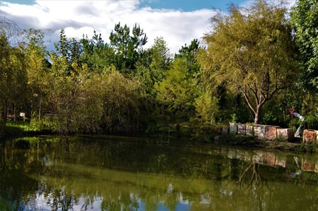 Desayuna entre árboles y junto a un lago: un rincón escondido en Querétaro a solo 30 minutos del centro