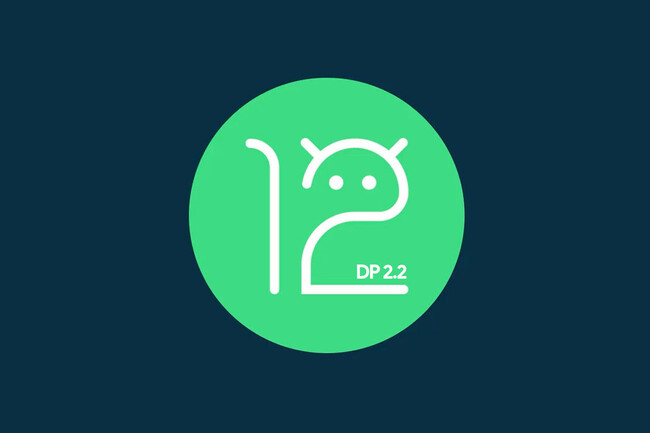 Dp22