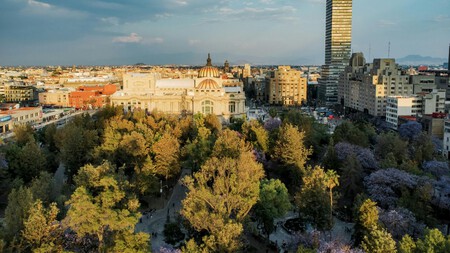 Cdmx