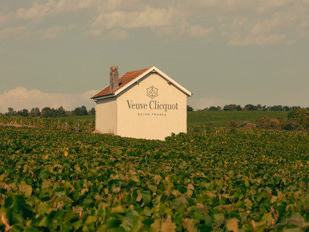 Vinedo Veuve Clicquot