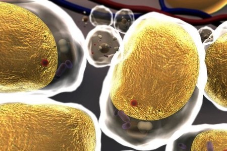 Comer rápido podría incrementar los triglicéridos en tu cuerpo y elevar el riesgo cardiovascular