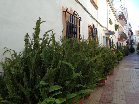 barrio nuevo marbella