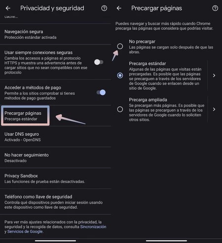 Chrome プリロード ページ