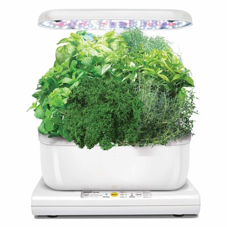 Alégrate el Blue Monday con luz artificial y un pequeño huerto doméstico: el Aerogarden 901041-1101 está rebajado a 79,95 euros