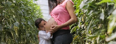 Cómo explicar a los niños de dónde vienen los bebés