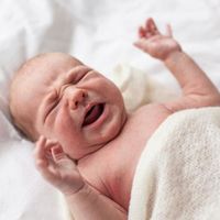 ¿Crees que se queda con hambre o que duerme fatal? Quizás solo necesita brazos