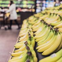 Los mercados creen que Amazon va a arrasar en alimentación, ¿Acertarán?