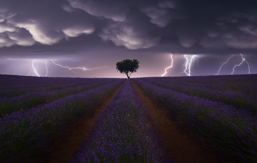 Dos españoles entre los ganadores en categoría Open de los Sony World Photography Awards 2021