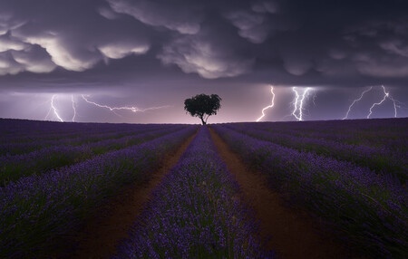 Dos españoles entre los ganadores en categoría Open de los Sony World Photography Awards 2021