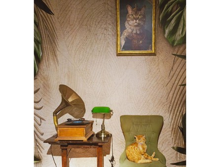 Museo Del Gato