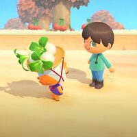 Trucos y consejos sobre la compraventa de nabos en Animal Crossing New Horizons