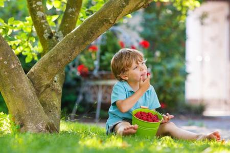 Probar nuevos alimentos sin forzar, triple screening, relactación y más... Lo mejor de Bebés y más Respuestas