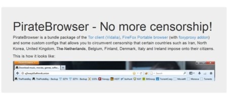 PirateBrowser ya ha sido descargado más de cinco millones de veces