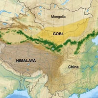 Desde hace 48 años, China ha plantado 66.000 millones de árboles para construir una gran muralla verde. Medio siglo después las imágenes de satélite revelan algo insólito 
