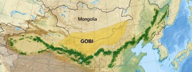 Desde hace 48 años, China ha plantado 66.000 millones de árboles para construir una gran muralla verde. Medio siglo después las imágenes de satélite revelan algo insólito 