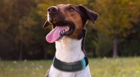 El Wagz Explore Collar es el accesorio que todo amante de los perros y de los hogares inteligentes deseará tener en casa