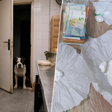 Era un kebab, pero parecía Breaking Bad: la policía de Granada precinta un local donde un bulldog protegía un alijo de cocaína, marihuana y anfetas 