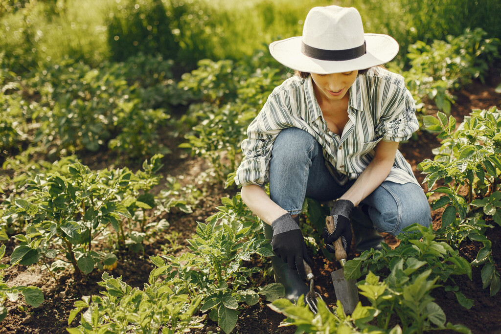 Plantas que debes podar en octubre antes de que sea demasiado tarde y cómo hacerlo