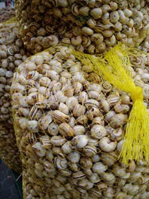 Caracoles en caldo
