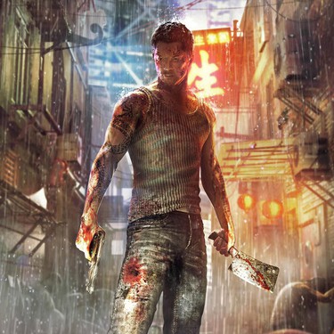 Sleeping Dogs