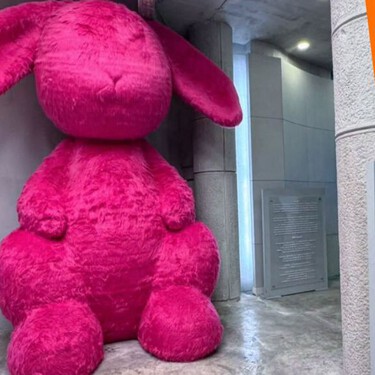 Desde Japón hasta CDMX llega el Human Museum con IMAGINE, un espectáculo visual y fotográfico que todos quieren visitar