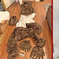 Mentes criminales: se disfrazan de oso para destrozar su Rolls-Royce y estafar al seguro. Los vídeos del 'ataque' son de risa