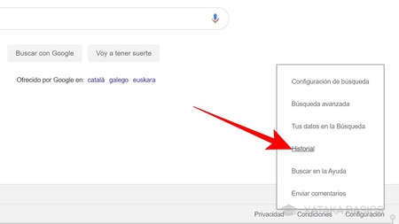 Facilitar Cava maquillaje Cómo eliminar el historial de Google en PC