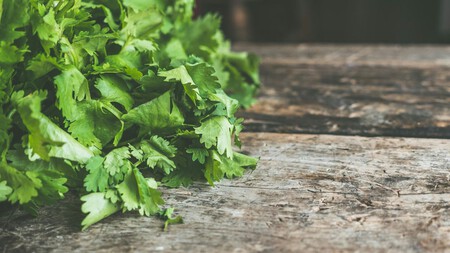 Cilantro Fresco