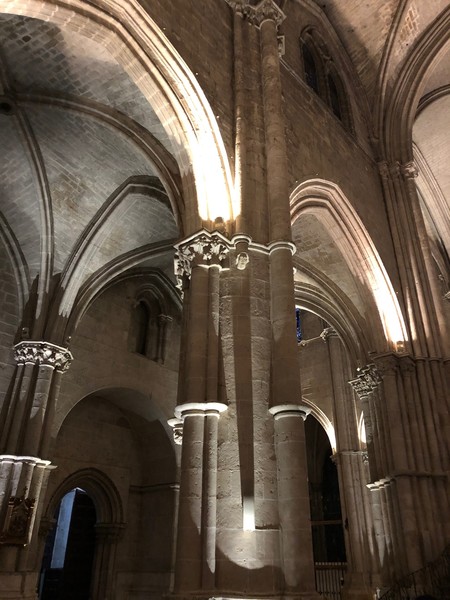 Img 7013