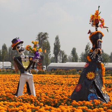 No es Puebla ni Tlaxcala: descubre el Sendero de las Almas, el campo de cempasúchil más impresionante de CDMX