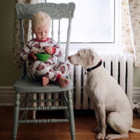 La historia de Nora, la perrita maltratada que superó sus miedos gracias a este bebé 