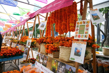 Todo sobre el Festival de Flores de Cempasúchil en CDMX: fechas, horarios y sedes para encontrar la "flor de 20 pétalos"