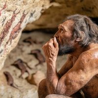 Pensábamos que crecer definía al género 'Homo' desde sus inicios. Un análisis masivo demuestra que nos equivocábamos
