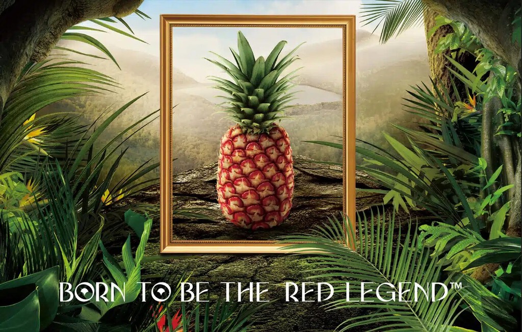 Hay gente comprando piñas a 400 dólares la unidad: así opera el alucinante mercado de la fruta de lujo