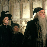 "Es una saga para niños". Una actriz de Harry Potter la lía arremetiendo contra los 'potterheads' que 20 años después siguen disfrutando de las películas