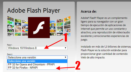 how to download adobe flash player version 10