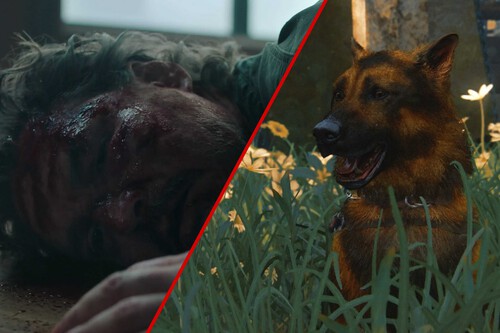 The Last Of Us Alice Perro Muerte Craig Mazin Hbo Temporada 3