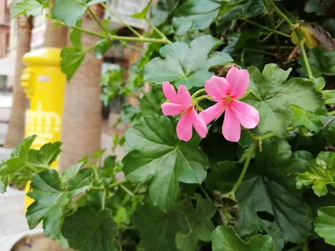 Foto de Fotos tomadas con el Honor 10 Lite (53/154)