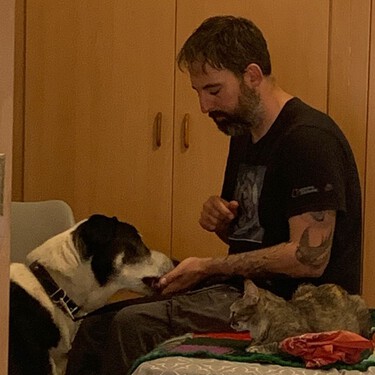 He metido un gato en casa con mis tres perros. Esto es lo que hago para que se lleve bien 