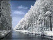 Los bebés nacidos en invierno más listos que los de verano