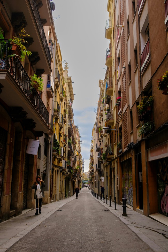Marquise De Photographie Coxn 8j918i Unsplash