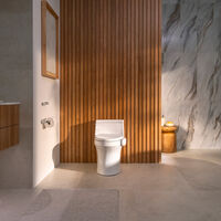 Este dispositivo te dice si te cayeron mal los taquitos de anoche. Así es Kohler Dekoda