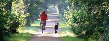 Los ciclistas son mejores ciudadanos que los conductores de coches, según este estudio
