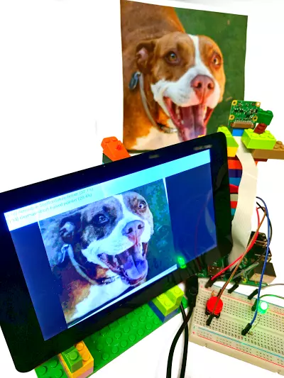 カメラ付き Raspberry Pi 3 上の犬 (アメリカン スタッフォードシャー テリア) を識別する TensorFlow の例