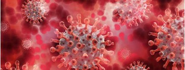 Countries where people trust each other have been the most successful in reducing waves of coronavirus deaths The omicron variant of SARS-CoV-2 could have an intriguing origin: a mouse