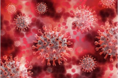 La variante ómicron del del SARS-CoV-2 podría tener un origen intrigante: un ratón