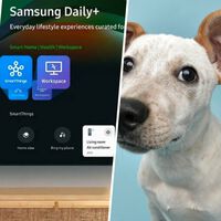 Tizen Daily+ y Vision AI: cómo hacer que tu tele Samsung te avise si el perro ladra o si la lavadora ha terminado 