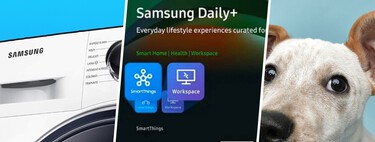 Tizen Daily+ y Vision AI: cómo hacer que tu tele Samsung te avise si el perro ladra o si la lavadora ha terminado 
