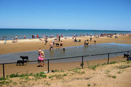 Playa Montrose